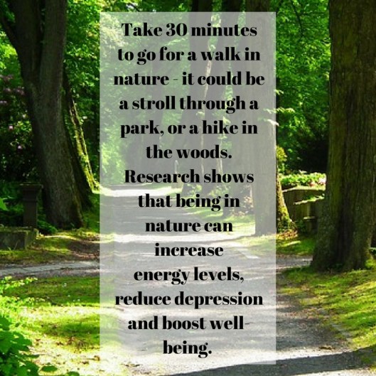 Take 30 minutes to go for a walk in nature - it could be a stroll through a park, or a hike in the woods. Research shows that being in nature can increaseenergy levels, reduce depression