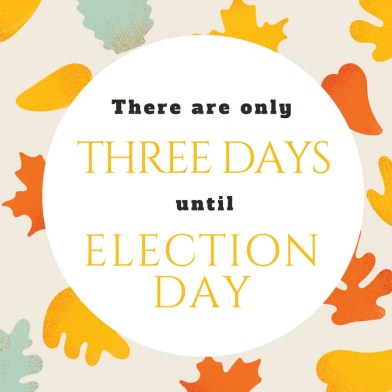 Copy of 3 DAYS GOTV - BLOG